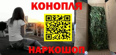мяу мяу мука Будённовск