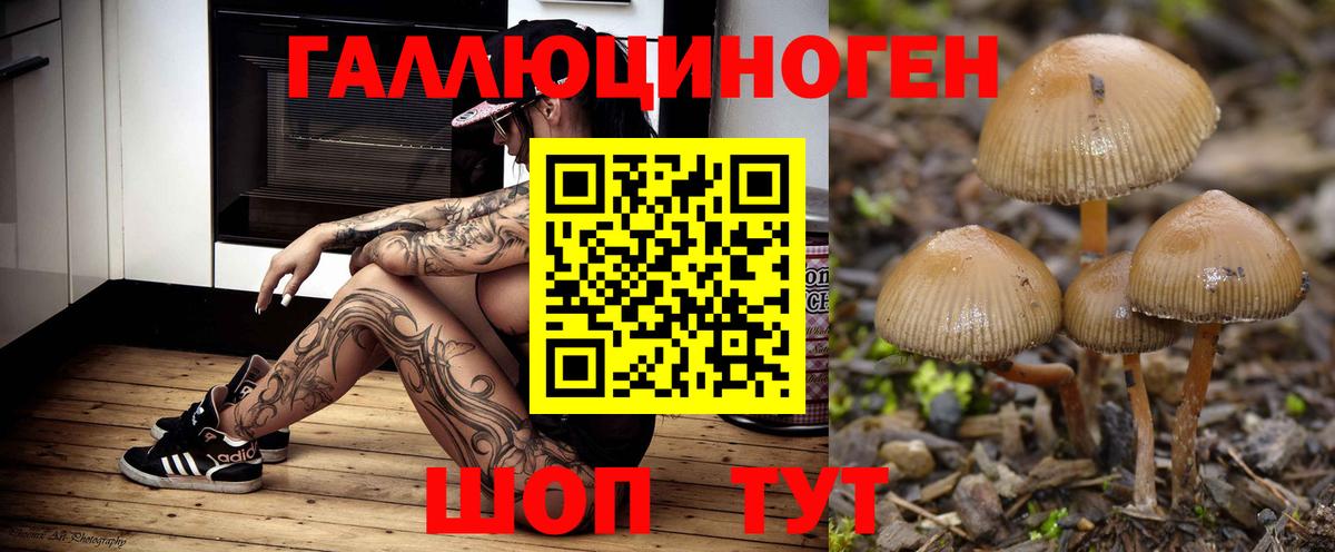 Псилоцибиновые грибы MAGIC MUSHROOMS  Вход с VPN  Реутов 