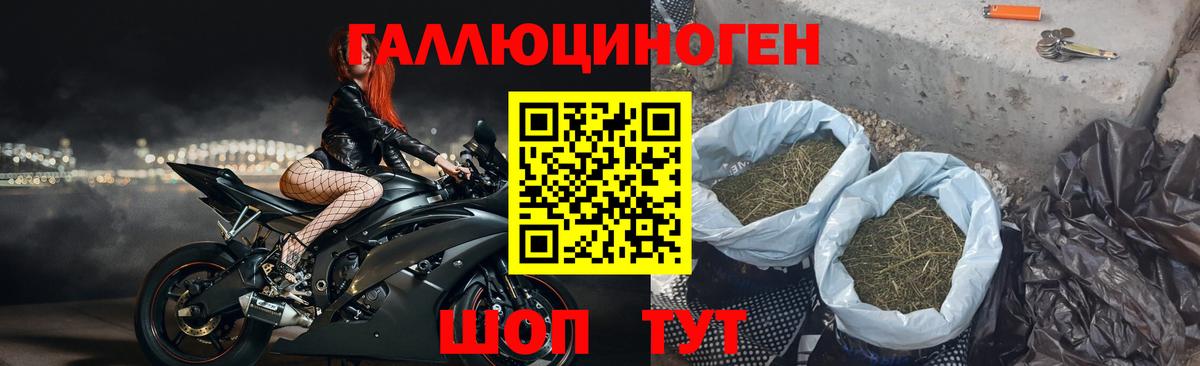Галлюциногенные грибы ЛСД Реутов